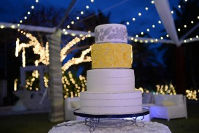 Krissy & Kyle Wedding Album - Image 36